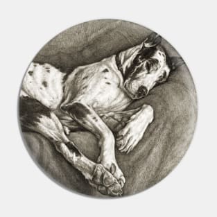 Sleeping Dog Pin