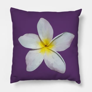 Plumeria Blossom Pillow