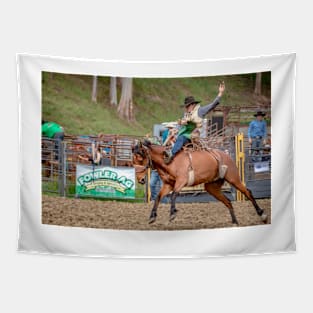 RODEOS, HORSES, COWBOYS Tapestry