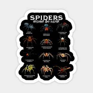 Spiders in the world - types of spiders Magnet