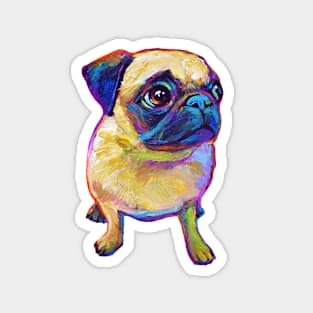 Adorable Pug Magnet