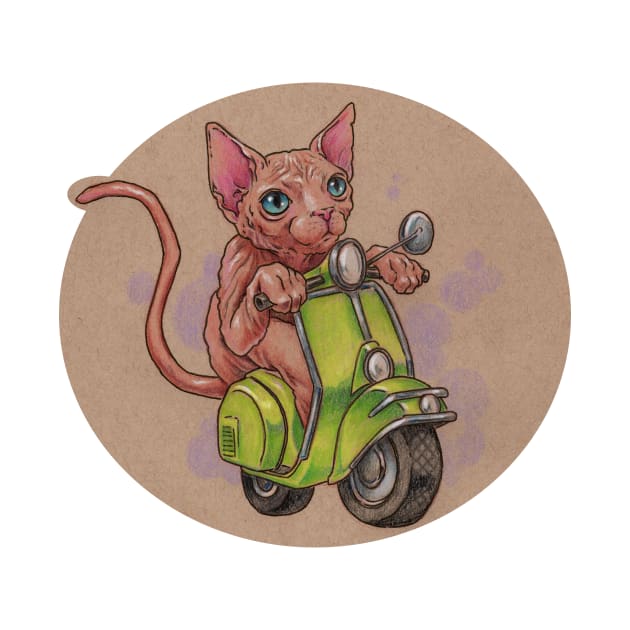 Scooter Kitty by justteejay