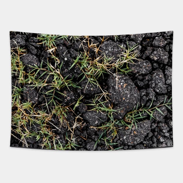 Green Grass Growing On Black Stones - Alternative Tapestry by textural