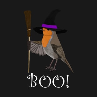 Robin Witch Bird Funny Halloween Ornithologist Gift T-Shirt