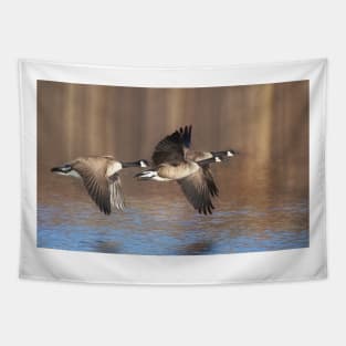 Canada Geese in flight Tapestry