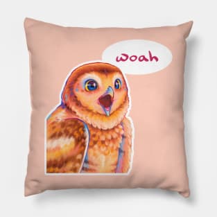 Woah Owl Pillow