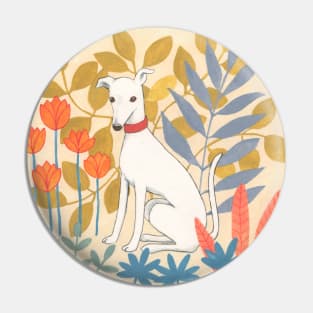 Lurcher in a garden Pin