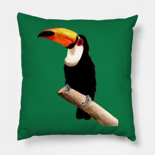 Toucan Pillow