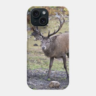 Red Deer Buck Phone Case