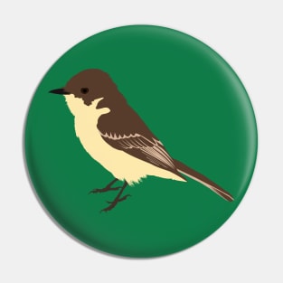 Eastern phoebe Pin