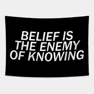 Belief is the Enemy of Knowing Tapestry