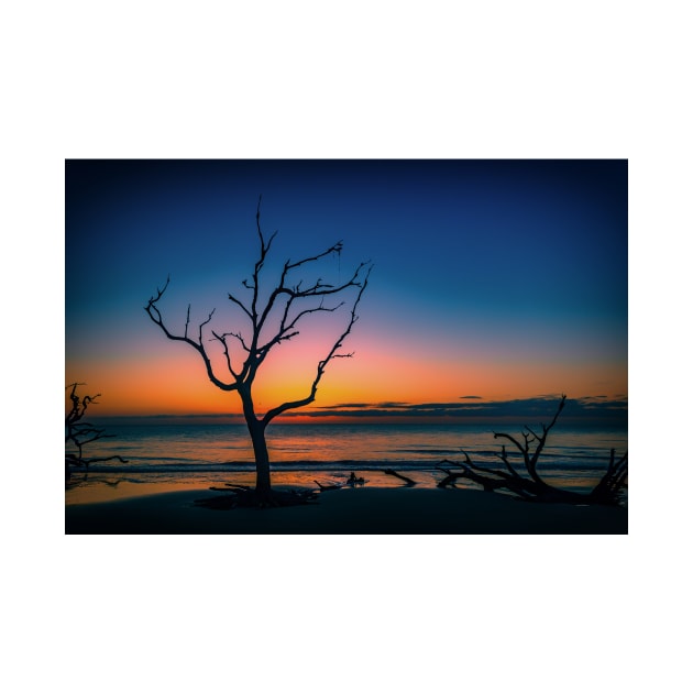 Driftwood Beach Jekyll Island Georgia by Gestalt Imagery