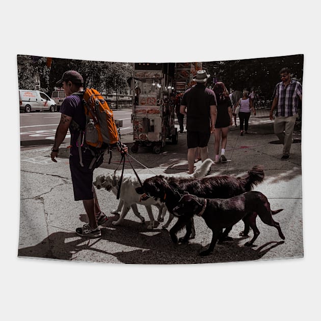 Dog Sitter, Manhattan, NYC Tapestry by eleonoraingrid