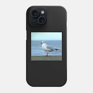 seagull bird ocean scene seaside Phone Case