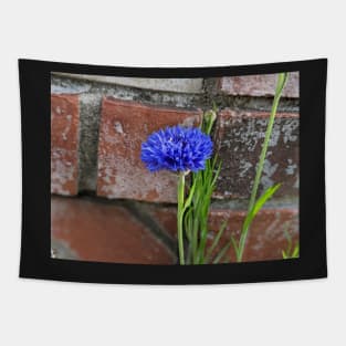 Cornflower and Brick Tapestry