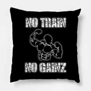 Gainz Pillow