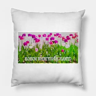 BLOSSOM WHERE YOU ARE PLANTED Pillow