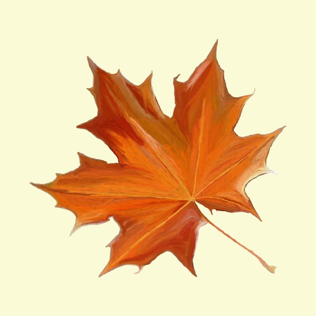 Autumn Maple Leaf by Veralex