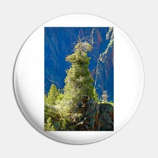 Black Canyon Tree Pin