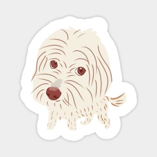 Big Head Maltipoo Dog Magnet