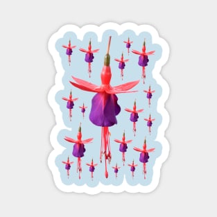 Fuchsia  FuchsiaBerry Magnet