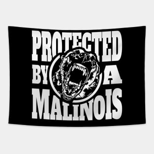 Protected by a Malinois Maligator Belgian Shepherd Tapestry