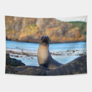 POSSING BABY SEAL Tapestry