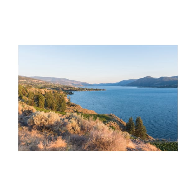 Summer Evening View of Okanagan Lake and Naramata by Amy-K-Mitchell