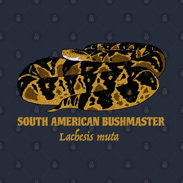 South American Bushmaster Lachesis Muta by SNK Kreatures