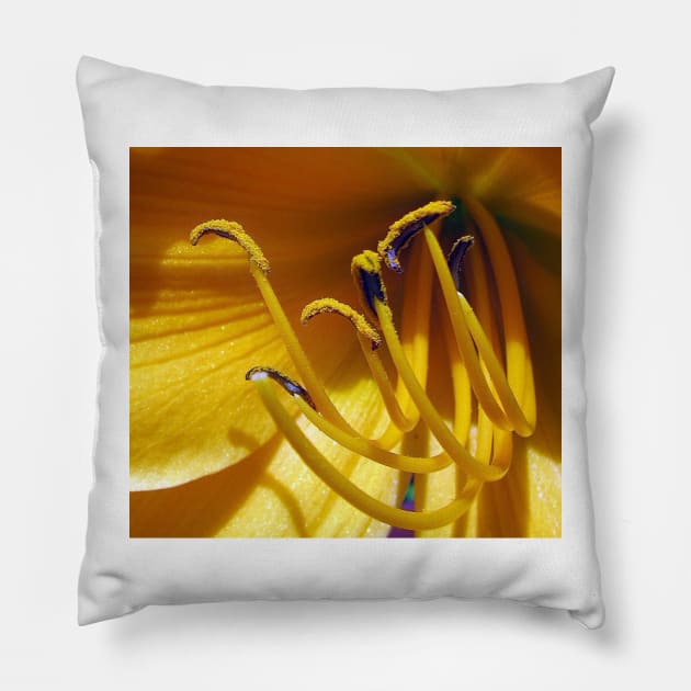 Daylily Delight. Pillow by AlienVisitor