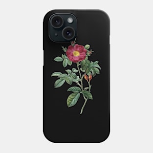 Dark Red Rose Flower Vintage Botanical Illustration Phone Case