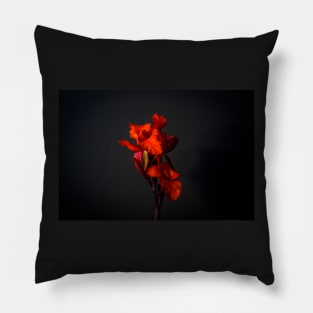 Red Canna Lilies Still Life Pillow