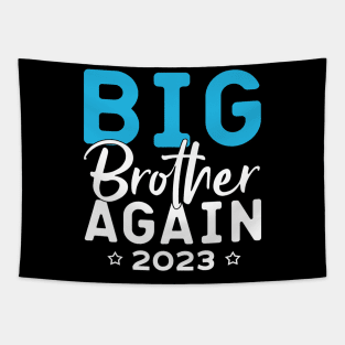 Big Brother Again 2023, Big Brother 2023 Tapestry