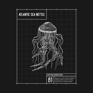 Atlantic Sea Nettle, Marine Biology T-Shirt