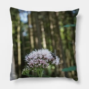 Fly On Water Vapor In The Forest Pillow