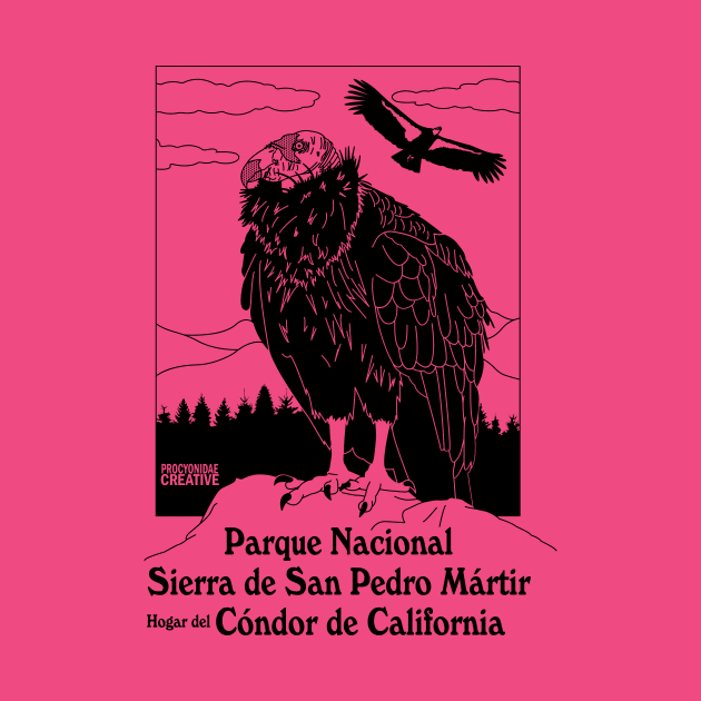 California condor by ProcyonidaeCreative