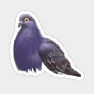 Cute Pigeon Drawing Magnet