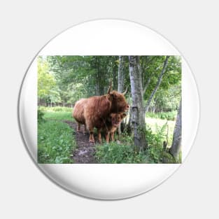 Scottish Highland Cattle Cow and Calf 1504 Pin