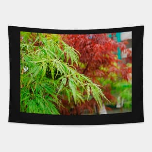 Green and Red Acer Leaves Tapestry