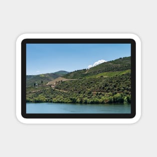 Point of view shot of terraced vineyards in Douro Valley Magnet