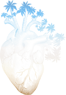 Beach Colored Anatomically Correct Human Heart - Palm Trees Magnet