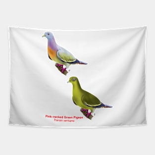 Pink-necked Green Pigeon | Treron vernans ⚥ Tapestry