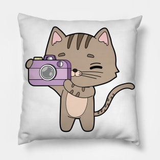 Cat as Photographer with Camera Pillow