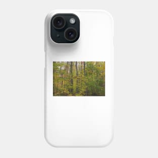 Towering young trees Phone Case