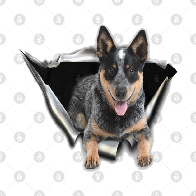 Australian Cattle Dog 3d Torn by QUYNH SOCIU