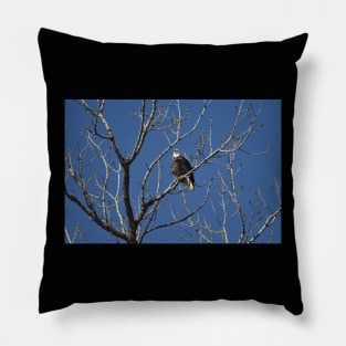 Bald Eagle Pillow