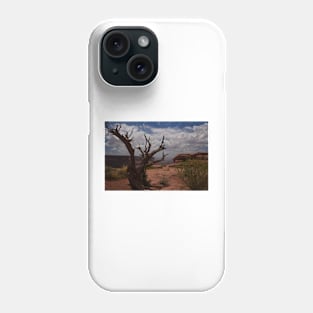 WGC_3244 Phone Case