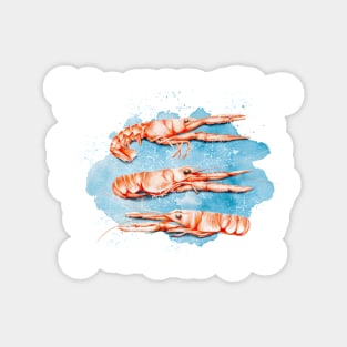 Langoustines -Watercolor food illustration Magnet