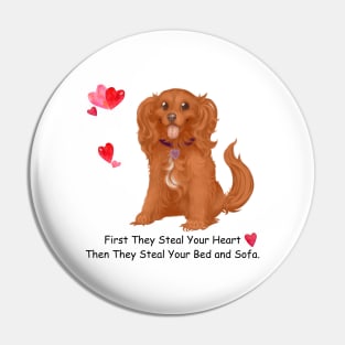 My Ruby Cavalier King Charles Spaniel Stole My Heart, Then My Bed and Sofa. Pin