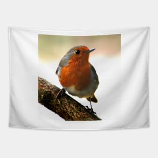 Robin Tapestry